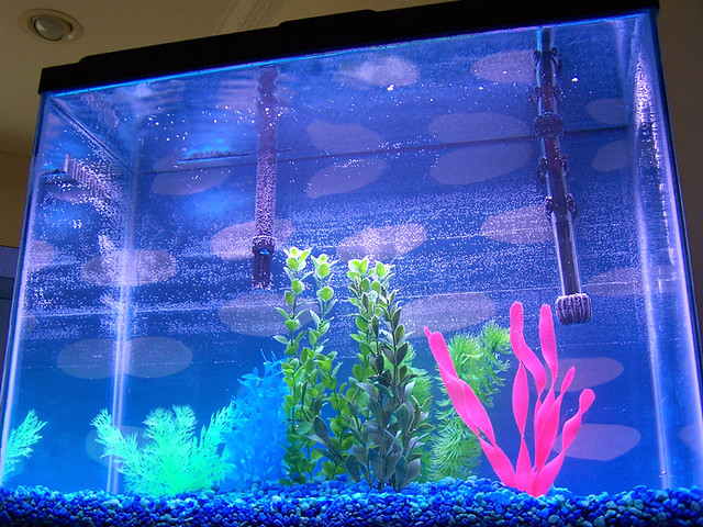 75 Gallon Aquarium Filter