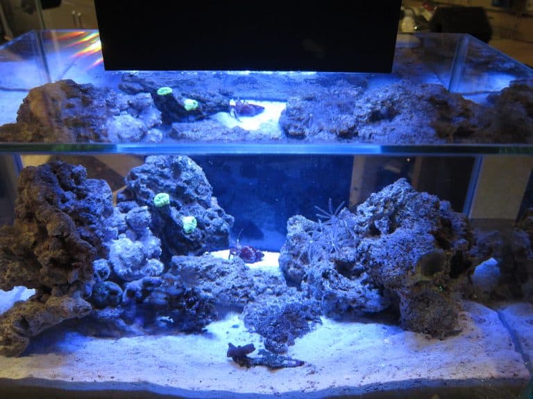 LED aquarium lights